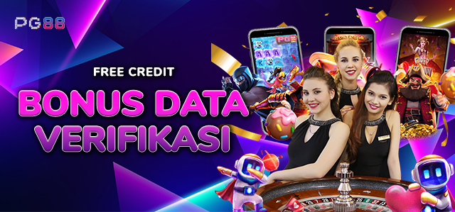 BONUS VERIFIKASI DATA